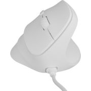 Voorbeeld afbeelding 7