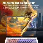 Voorbeeld afbeelding 13