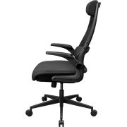 Voorbeeld afbeelding 4