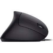 Voorbeeld afbeelding 2