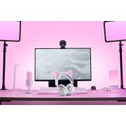 Voorbeeld afbeelding 4