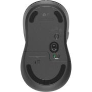 Voorbeeld afbeelding 1