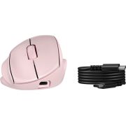 Voorbeeld afbeelding 1