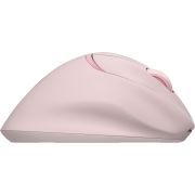 Voorbeeld afbeelding 7