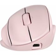 Voorbeeld afbeelding 5