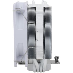 Assassin X 120 Refined SE White Argb - afbeelding 3