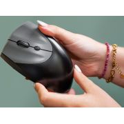 Voorbeeld afbeelding 3