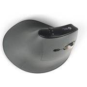 Voorbeeld afbeelding 2