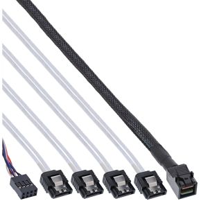 InLine 27630B Serial Attached SCSI (SAS)-kabel 1 m Zwart
