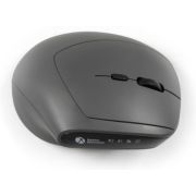 Voorbeeld afbeelding 7