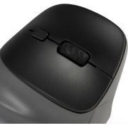 Voorbeeld afbeelding 7