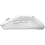 Voorbeeld afbeelding 11