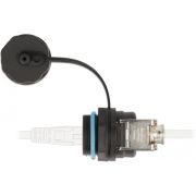 Voorbeeld afbeelding 1