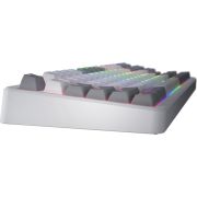 Voorbeeld afbeelding 4