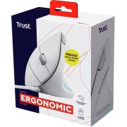 Voorbeeld afbeelding 5