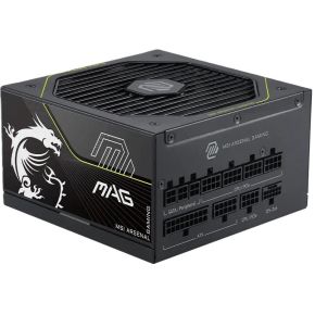 MSI MAG A1000PLS PCIE5