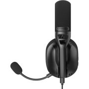 Voorbeeld afbeelding 2