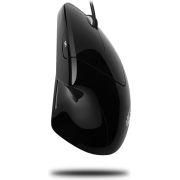 Voorbeeld afbeelding 3