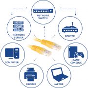 Voorbeeld afbeelding 2