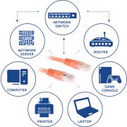 Voorbeeld afbeelding 2