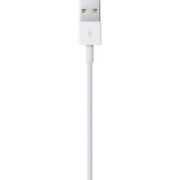 Apple-USB-naar-Lightning-kabel-0-5-meter