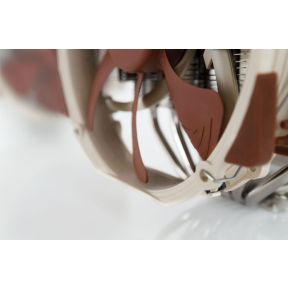 NH-D15 - afbeelding 6