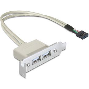 DeLOCK Slot bracket LP - USB-kabel