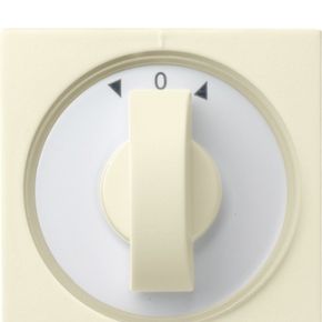 Gira 066601 Veiligheidsplaatje Voor Stopcontacten gira kopen in de aanbieding