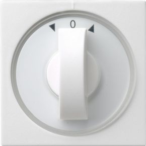 Gira 066603 Veiligheidsplaatje Voor Stopcontacten gira kopen in de aanbieding