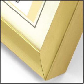 Zep New Easy Goud Din A4 21X297 Kunststof Lijst Kg11 zep kopen in de aanbieding