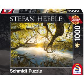 Schmidt Spiele Omarming Van Goud 1000 Pcs Legpuzzel schmidt spiele kopen in de aanbieding