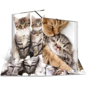 Herma 7143 Polypropyleen Pp Multi Kleuren Map herma kopen in de aanbieding