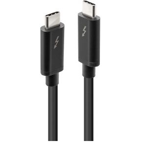 Lindy 41556 1m USB C USB C Zwart USB-kabel