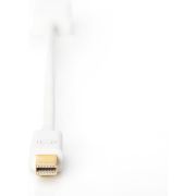 Voorbeeld afbeelding 3