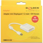 DeLOCK-62604-mini-Displayport-1-2-DVI-I-24-5-Wit-kabeladapter-verloopstukje