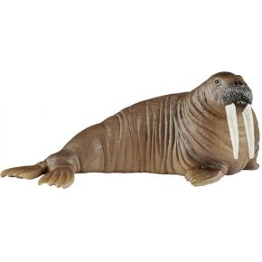 Schleich Wild Life 14803 Walrus schleich kopen in de aanbieding
