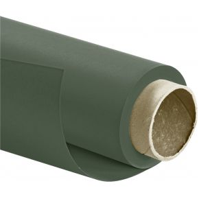Walimex Pro Achtergrondkarton 272X10M Groen walimex kopen in de aanbieding