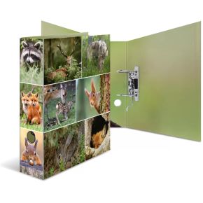 Herma 7202 Karton Multi Kleuren Ringband herma kopen in de aanbieding