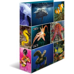 Herma 7203 Karton Multi Kleuren Ringband herma kopen in de aanbieding