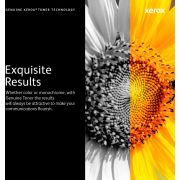 Voorbeeld afbeelding 6