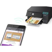 Voorbeeld afbeelding 4