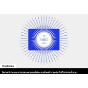 Voorbeeld afbeelding 7