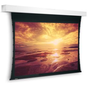 Projecta Descender Large Electrol 190 43 projecta kopen in de aanbieding