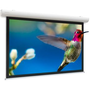 Projecta Elpro Concept 10103536 projecta kopen in de aanbieding