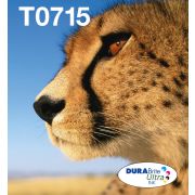 Voorbeeld afbeelding 1