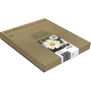 Voorbeeld afbeelding 2