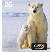 Voorbeeld afbeelding 4