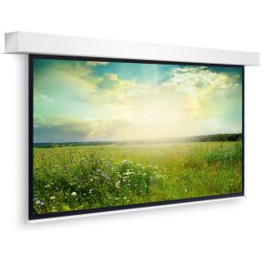 Projecta Descender Large Electrol 10101459 projecta kopen in de aanbieding