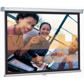 Projecta Slimscreen 125X125 Datalux projecta kopen in de aanbieding