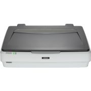 Epson Expression 12000XL Flatbed scanner 2400 x 4800DPI A3 Grijs, Wit